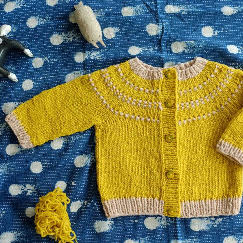 Arnica baby cardigan kit