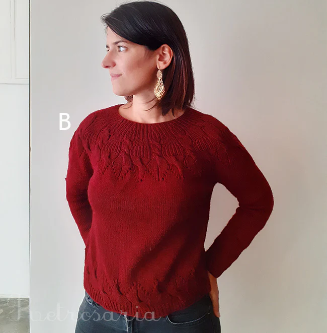 Cinnamomum Pullover kit - Image 3