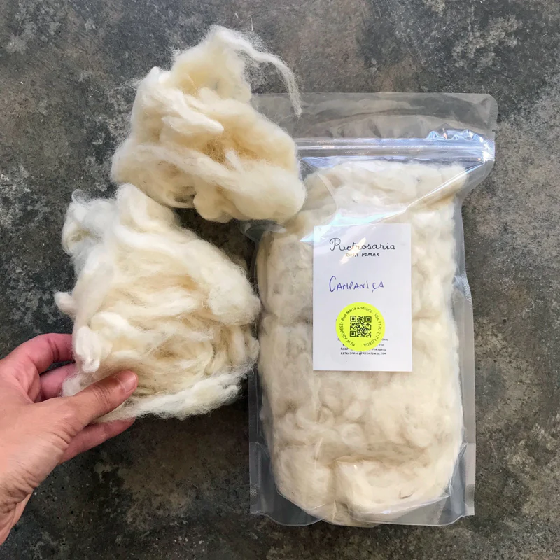 Native Portuguese sheep wool for spinning and felting - Image 3