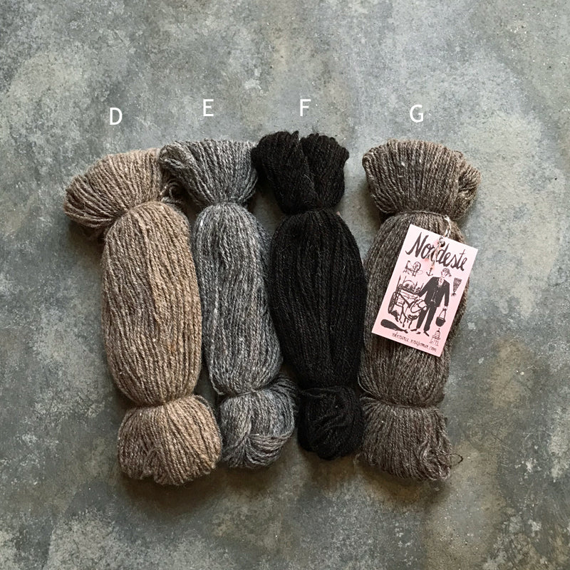 Nordeste - Image 5