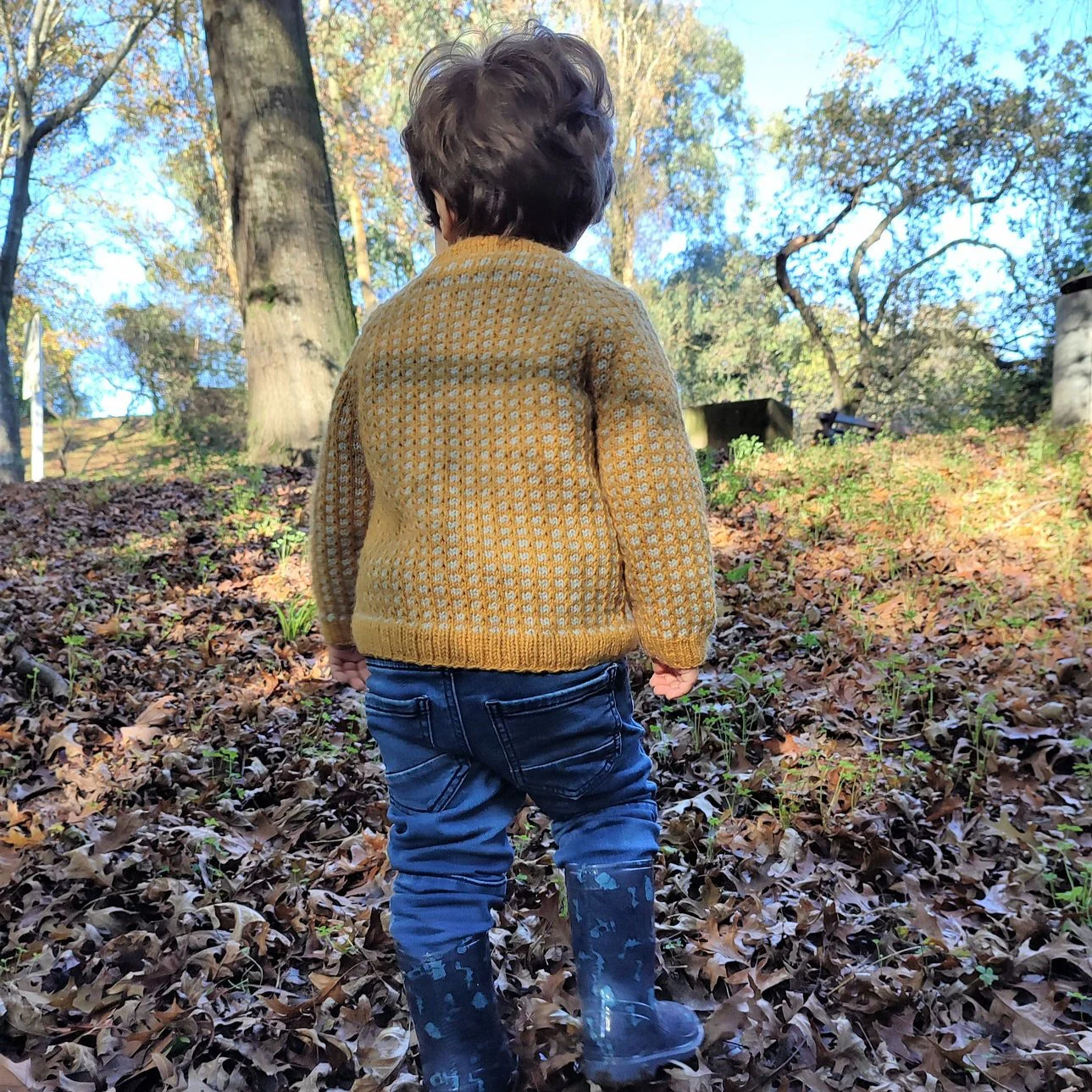 Serrana kids sweater kit - Image 2