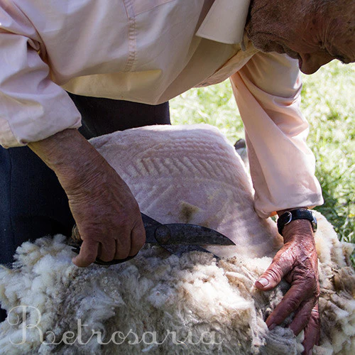 Shearing scissors - Image 3