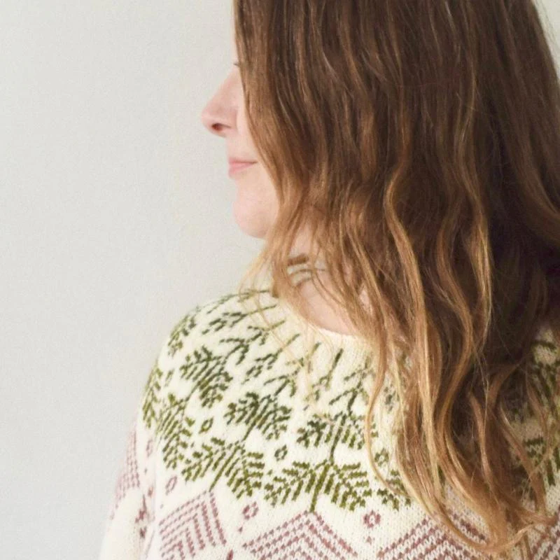 Thistlewood sweater kit - Image 4