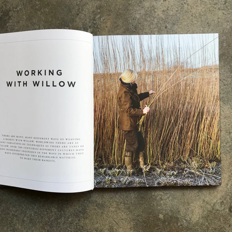Willow: A Guide to Growing and Harvesting - Image 2