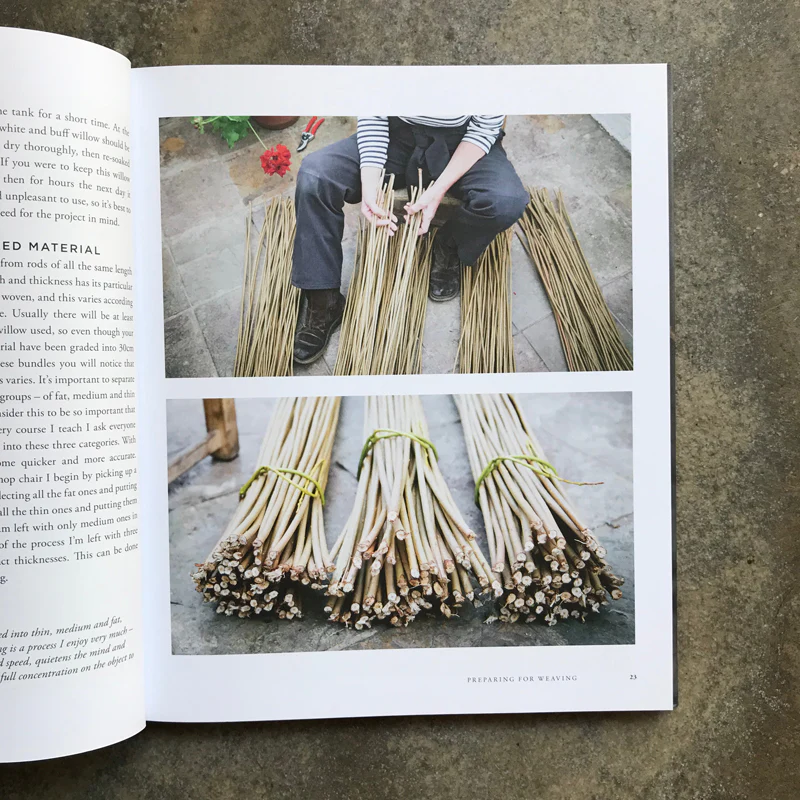 Willow: A Guide to Growing and Harvesting - Image 3